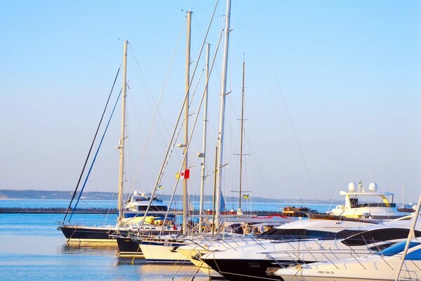 Luxury yachts in the port of Odessa