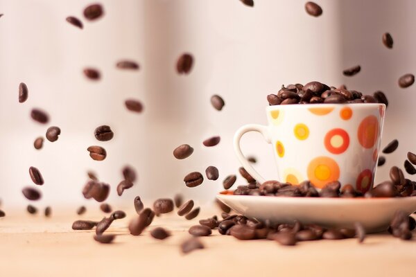 Grains de café dans une tasse