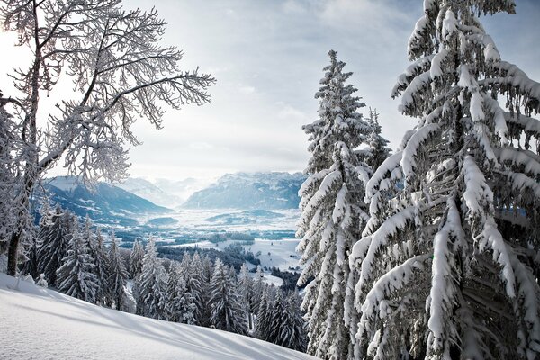 Blick auf die Berge vom Gipfel im Winter