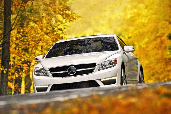 White Mercedes in the autumn forest