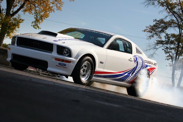 Ford Mustang avec une image de Cobra