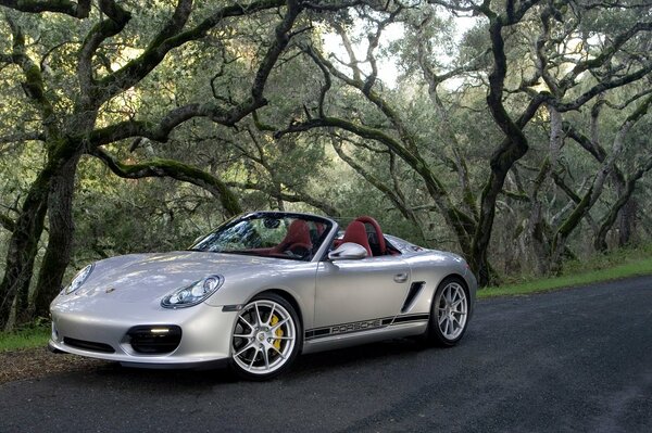 Porsche de plata contra los árboles