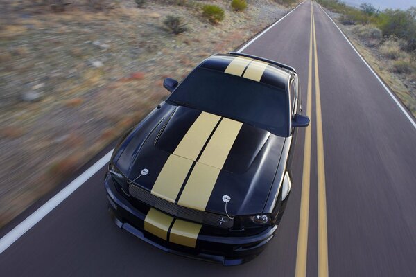 Fast and sporty American car Shelby