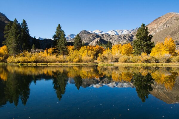 Reflection in the lake of golden autumn