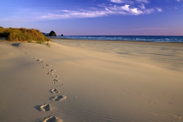 Human footprints on the sandy beach next to the sea