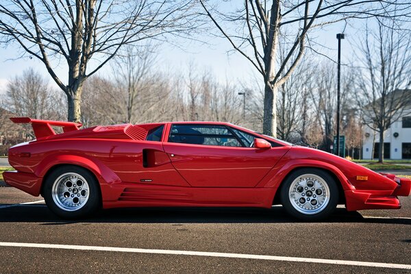 Lamborghini sportiva rossa su uno sfondo di alberi spogli e case