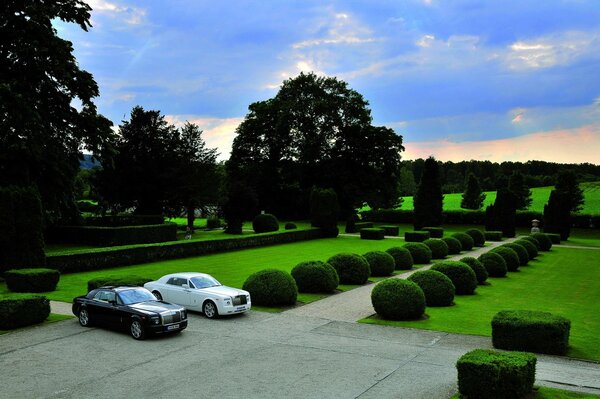 Black and white rolls Royces on the background of a well-groomed park