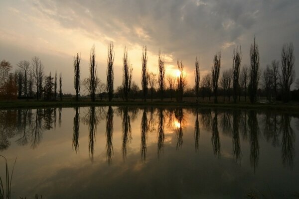 Estanque en el que se reflejan los árboles y la puesta de sol