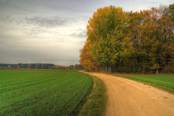 The road is near a beautiful field and trees