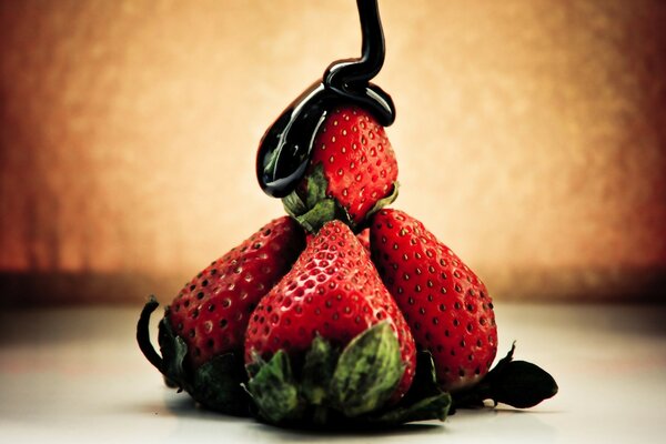 Schönes Dessert aus Erdbeeren in Schokolade