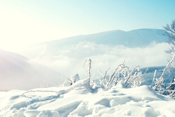 Naturaleza en invierno derivas y nieve