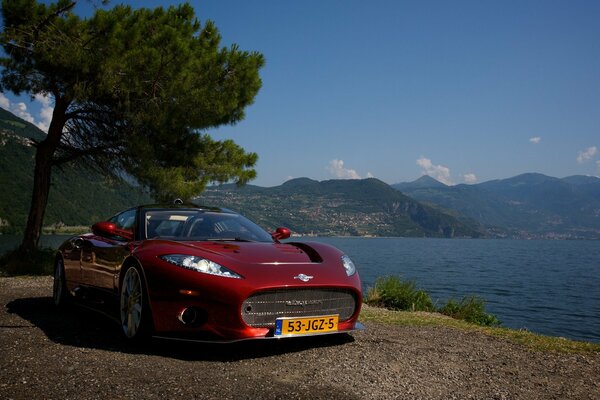 Sport rotes Auto Spinne steht auf Wasserhintergrund