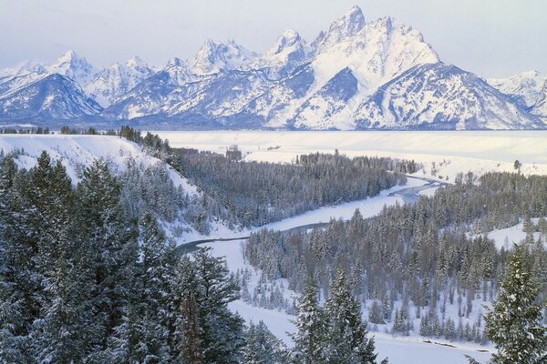 Rivière de montagne en hiver dans la forêt