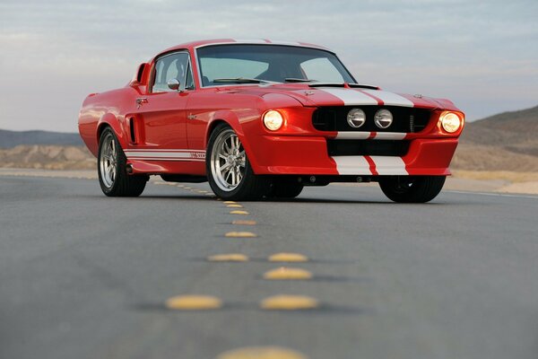 Ford Mustang in nature with the road