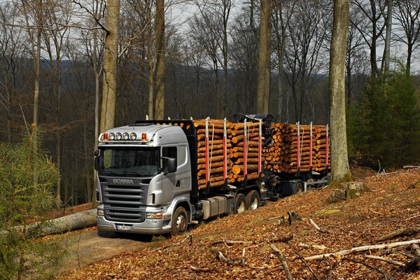 Scania r470 Forstwagen auf der Forststraße