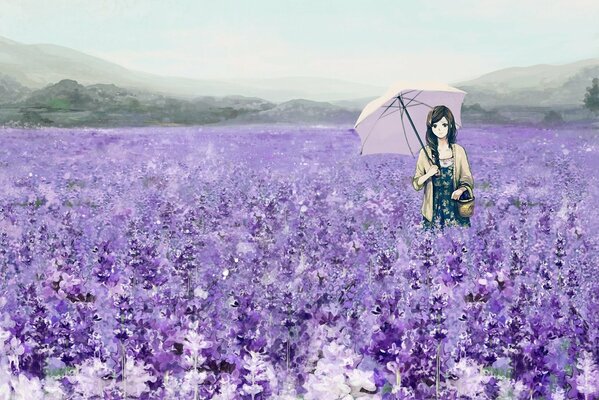 Chica romántica bajo un paraguas en un campo de lavanda