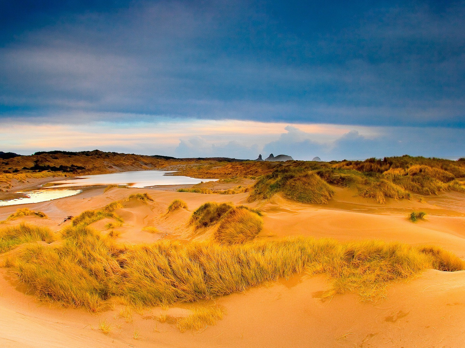 sable herbe flaque d eau