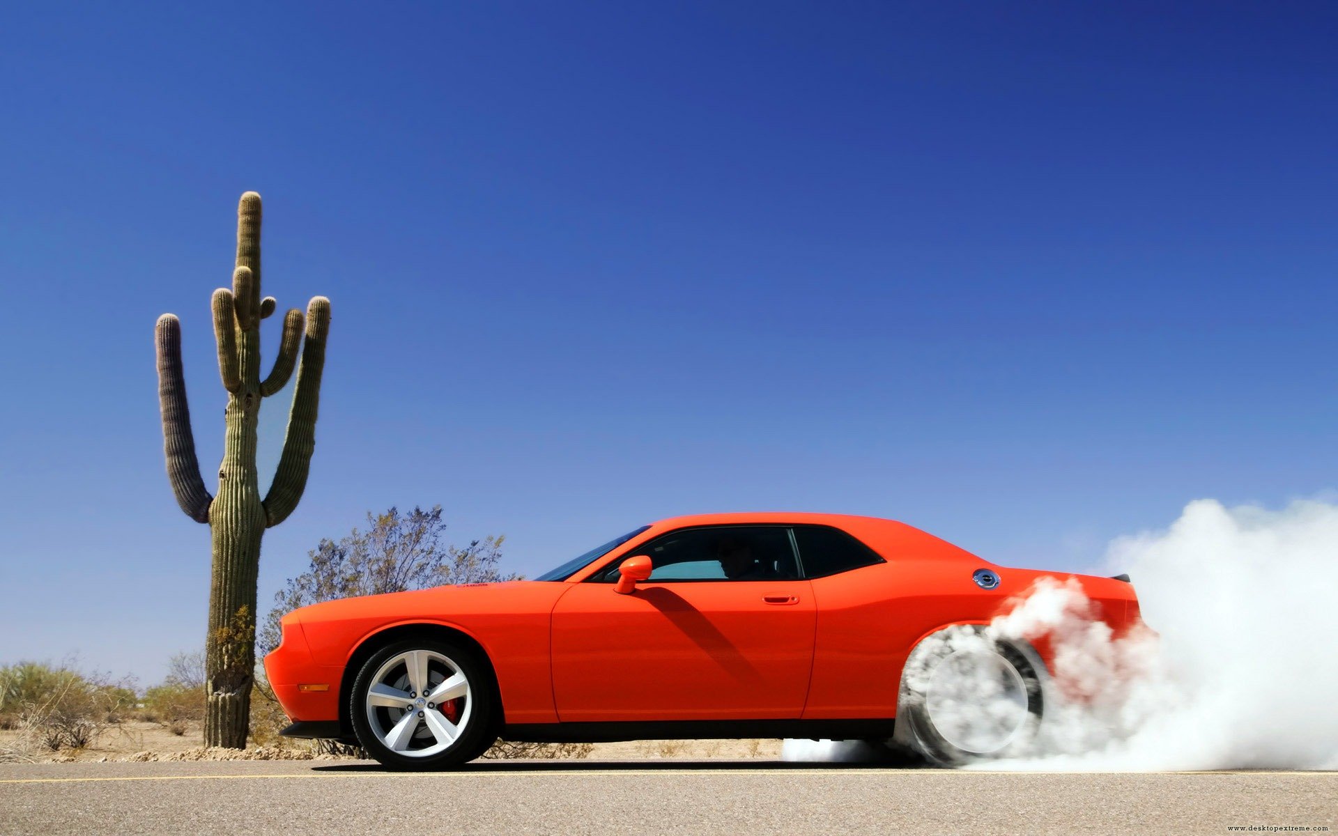 dodge challenger auto rossa fumo