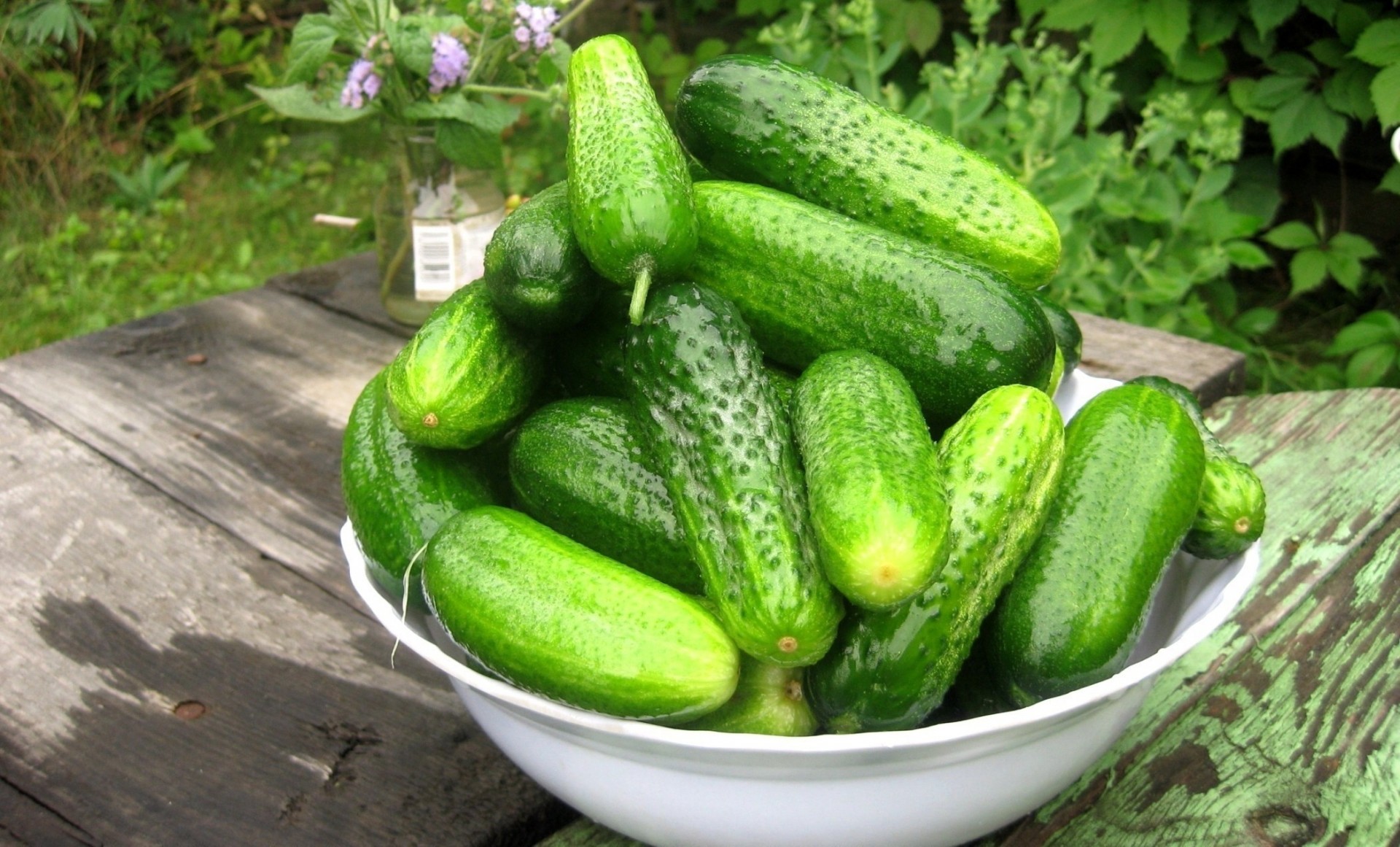 concombres légumes verts nourriture papier peint légume concombres