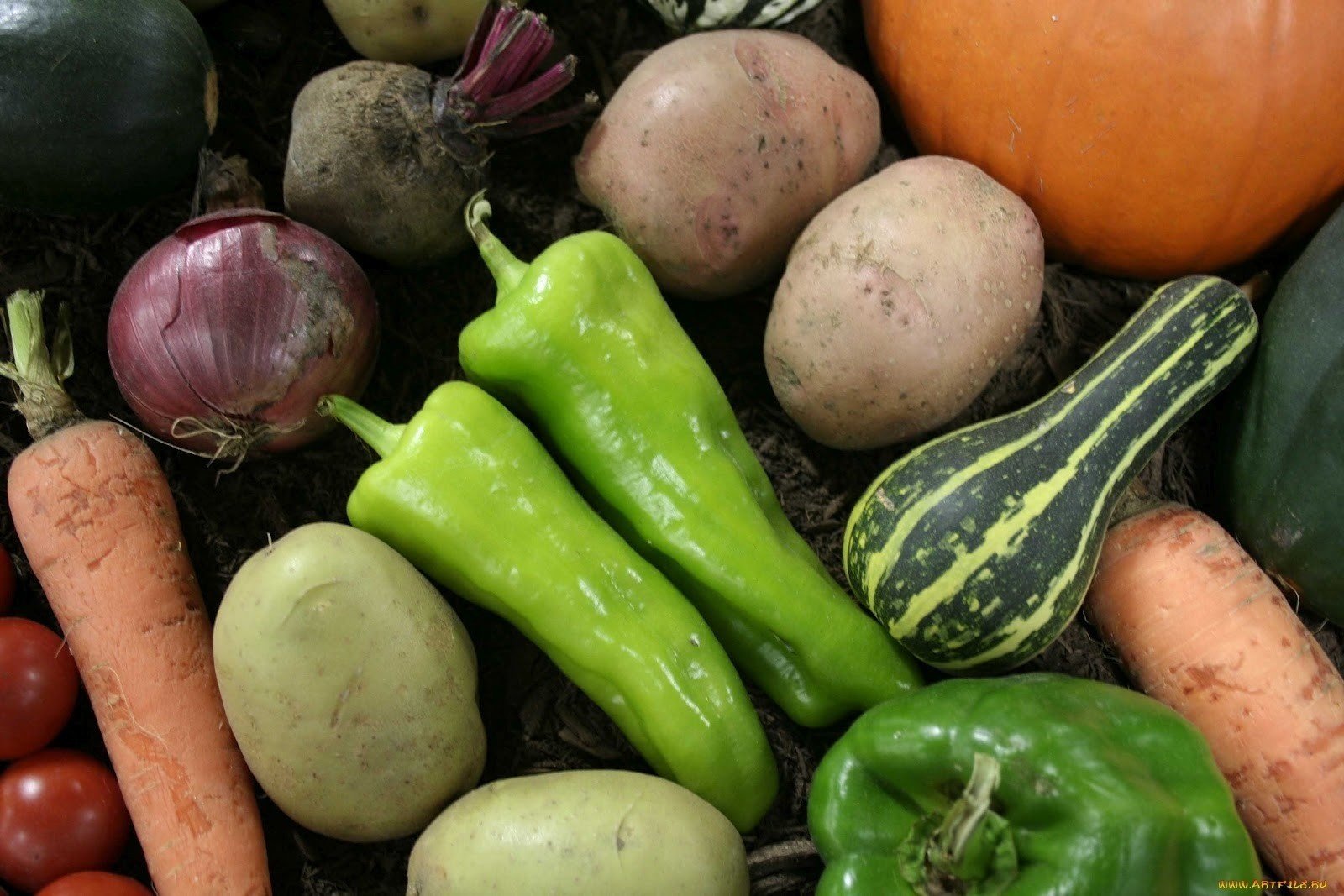 calabacín verduras tomates pimientos cebollas patatas