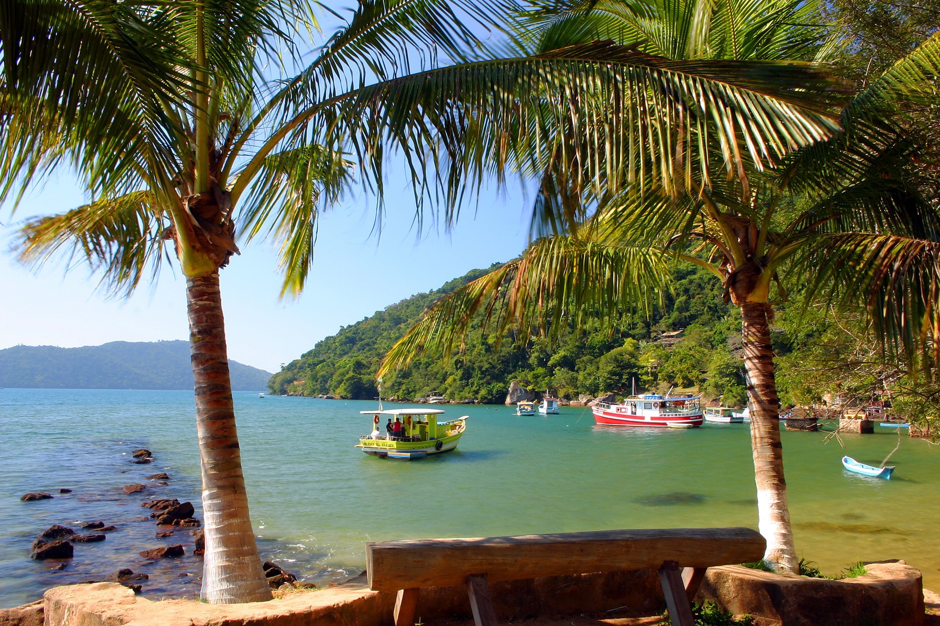 bahía barcos palmeras