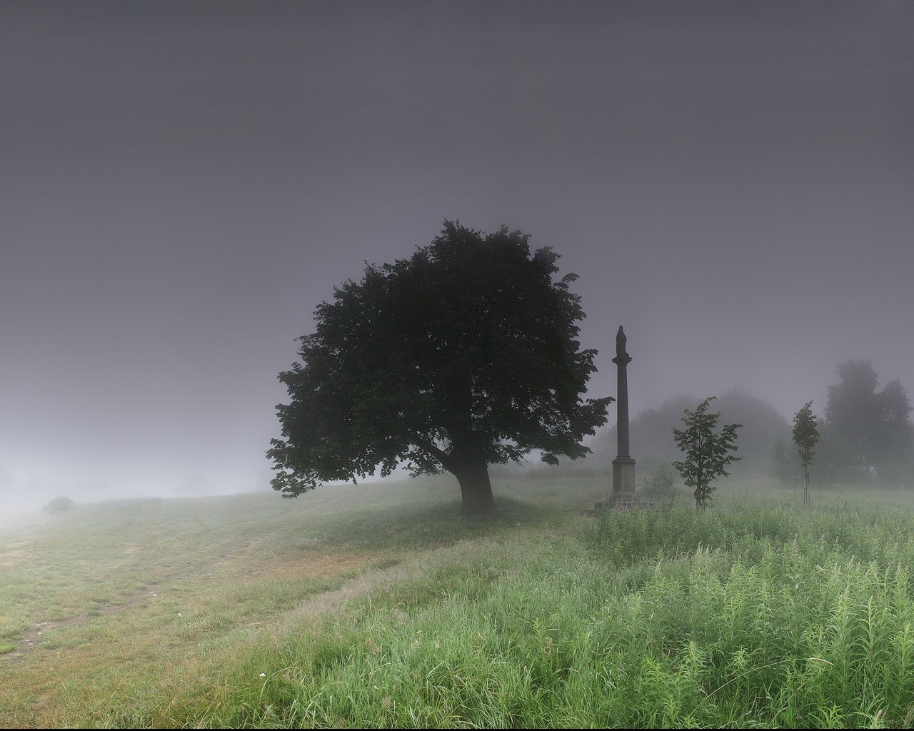 monument arbre brouillard herbe