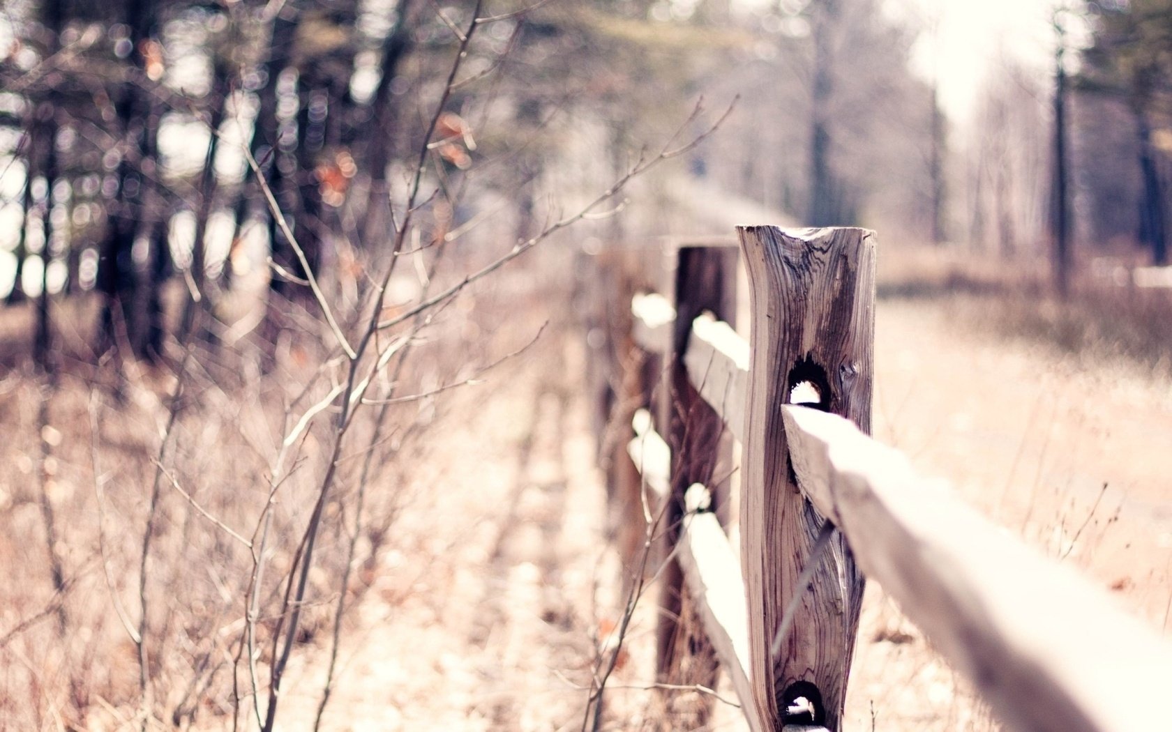 warm macro bokeh esgrima otoño blur fence