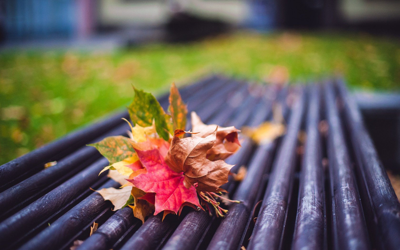 stimmung blätter herbst geschäft