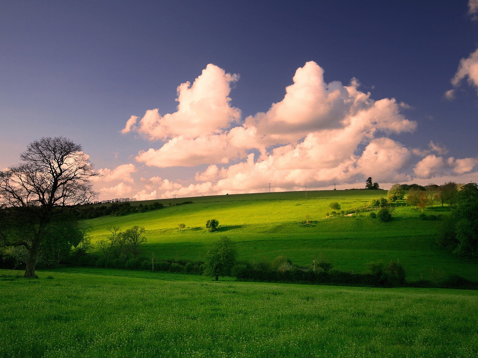 pring meadows cloud