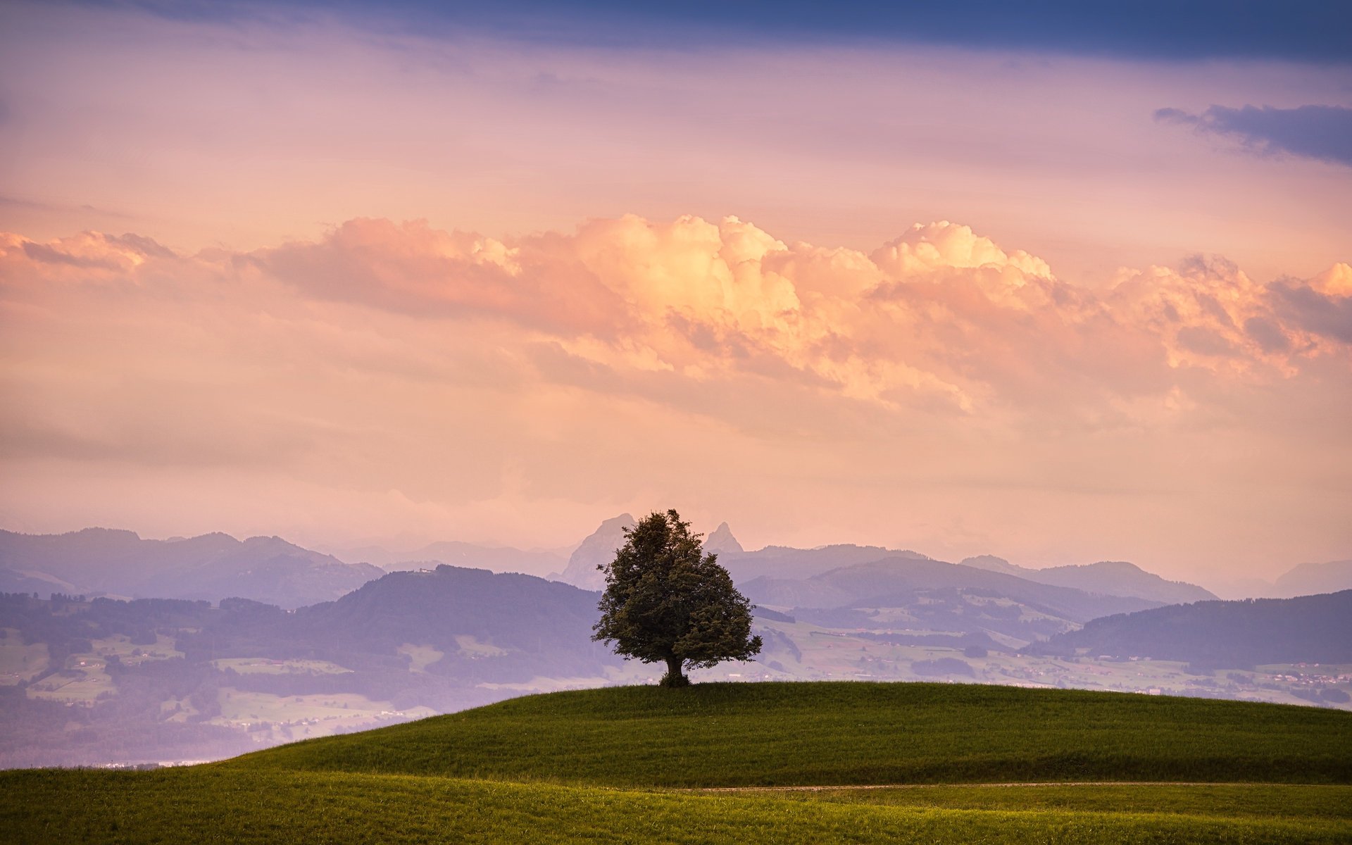 himmel baum berge feld gras wolken