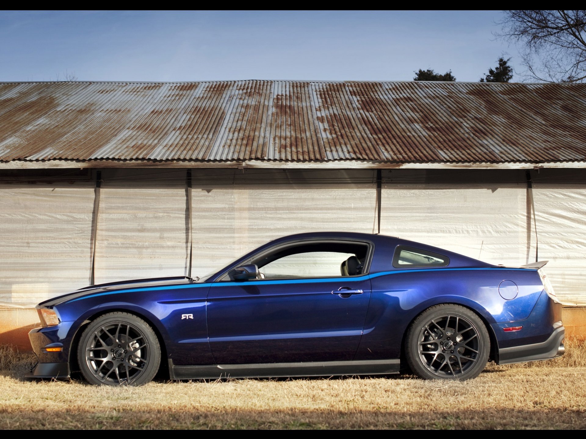 mustang rtr pacchetto blu muscolo