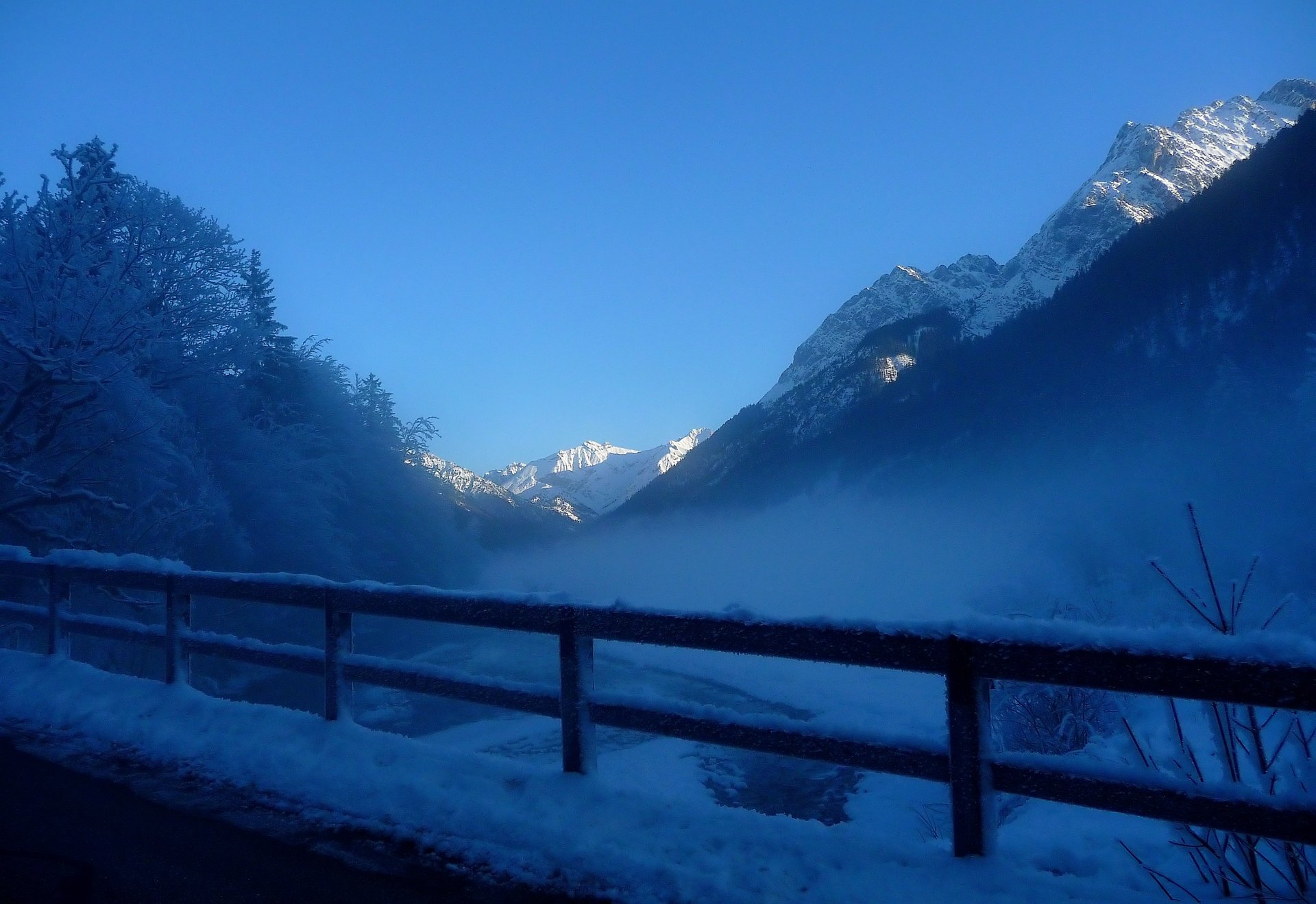 invierno nieve niebla escarcha montañas árboles cerca neblina