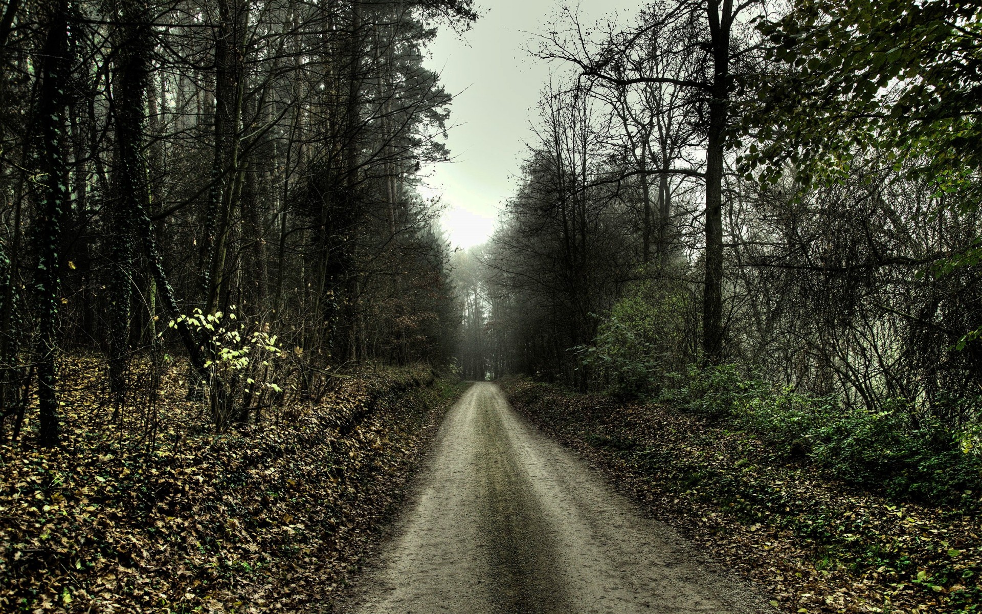 camino otoño tristeza