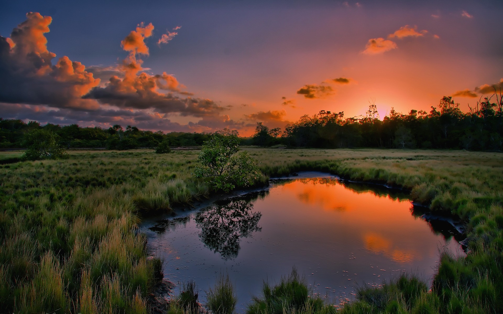 flaque d eau herbe coucher de soleil