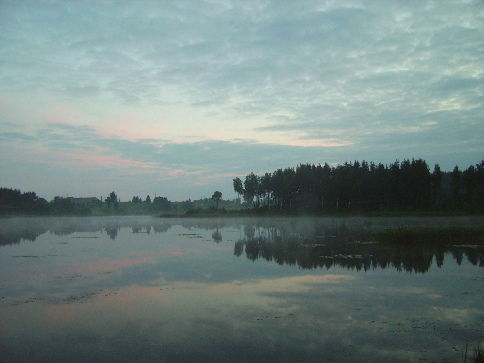 lago árboles necher