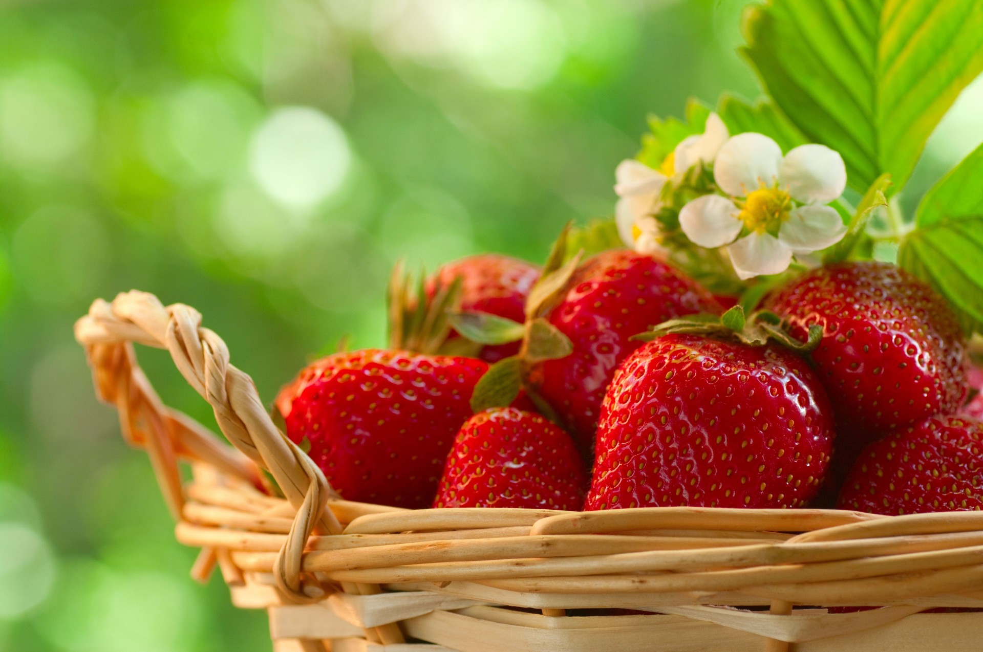 blatt beeren erdbeeren lecker