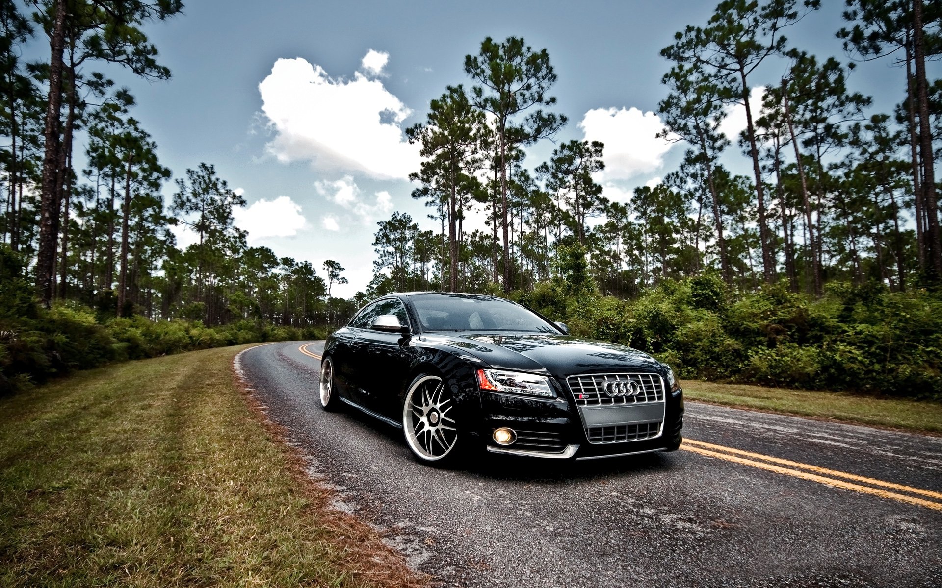 audi in der natur