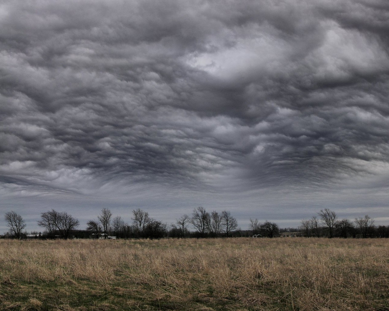 clouds storm the field