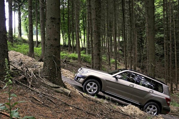 SUV im Wald klettert bergauf