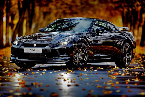 Auto noir se dresse à l automne autour des arbres jaunes