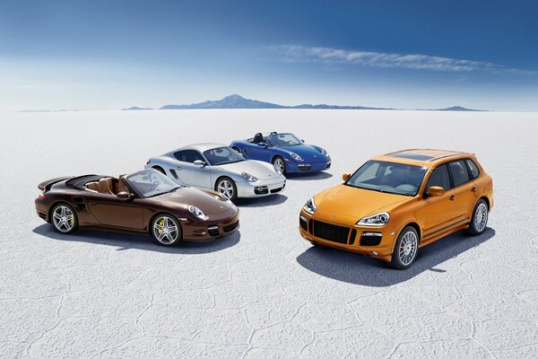 A lot of Porsche cars on the sandy plain in clear weather