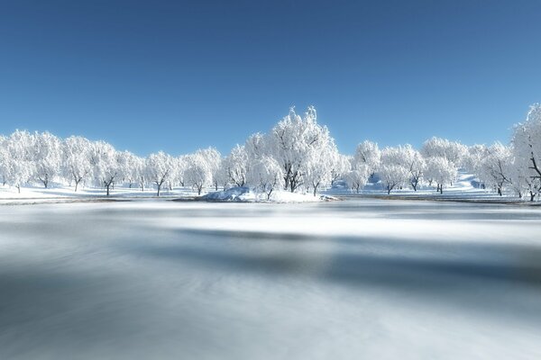 Foresta invernale nella neve sul fiume