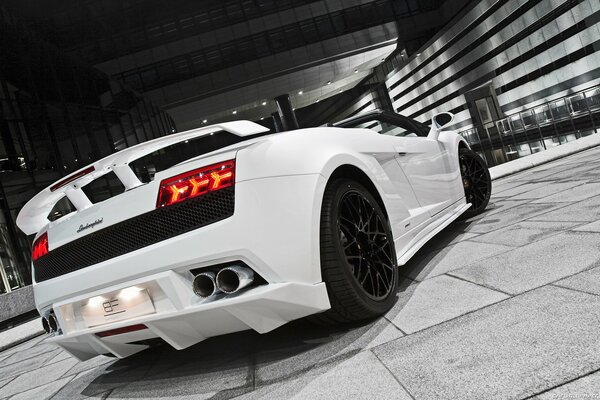 White lamborghini colardo posing