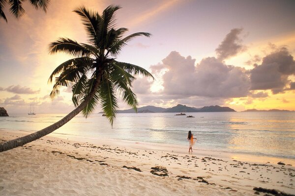 Girl on the beach with white sand and palm tree