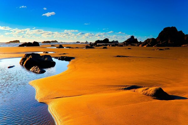 Paesaggio Spiaggia di pietra sabbiosa