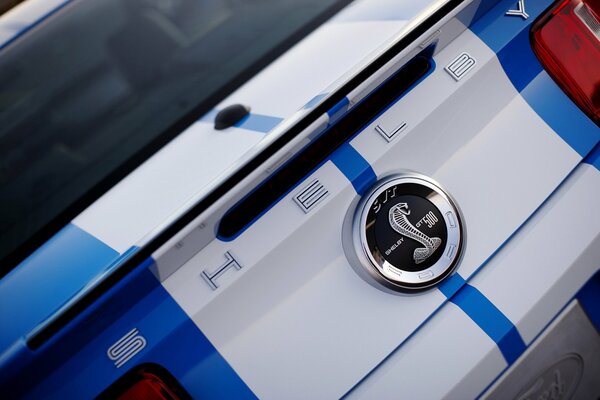 Mustang badge in the form of a snake on the trunk