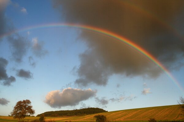 Arc-en-ciel dans le ciel bleu avec des nuages gris se leva au-dessus du champ d automne et des arbres