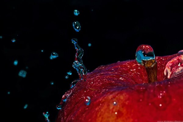 Manzana nutrida con gotas de agua sobre un fondo negro