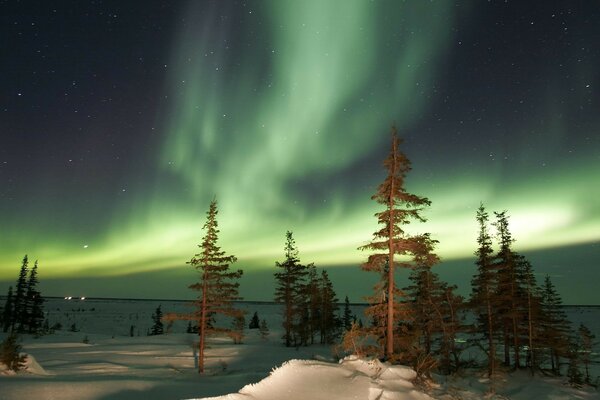 Aurora Borealis Winter Night