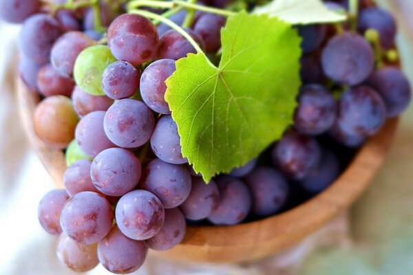 A bunch of ripe grapes in a bowl